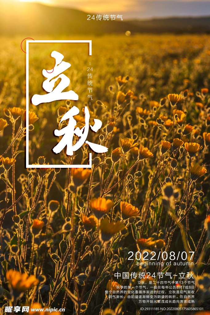 立秋节气宣传海报