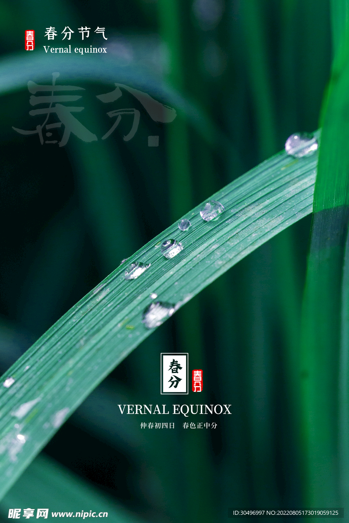 春分插画海报