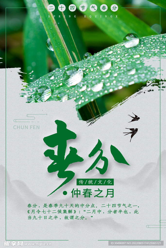 春分插画海报