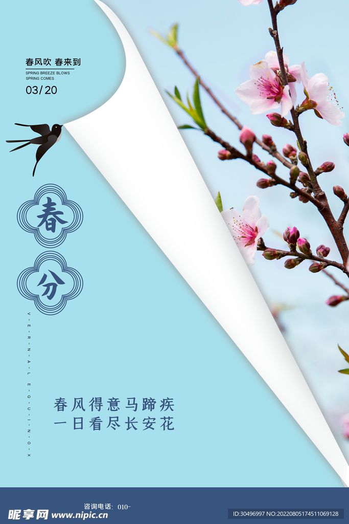 春分插画海报