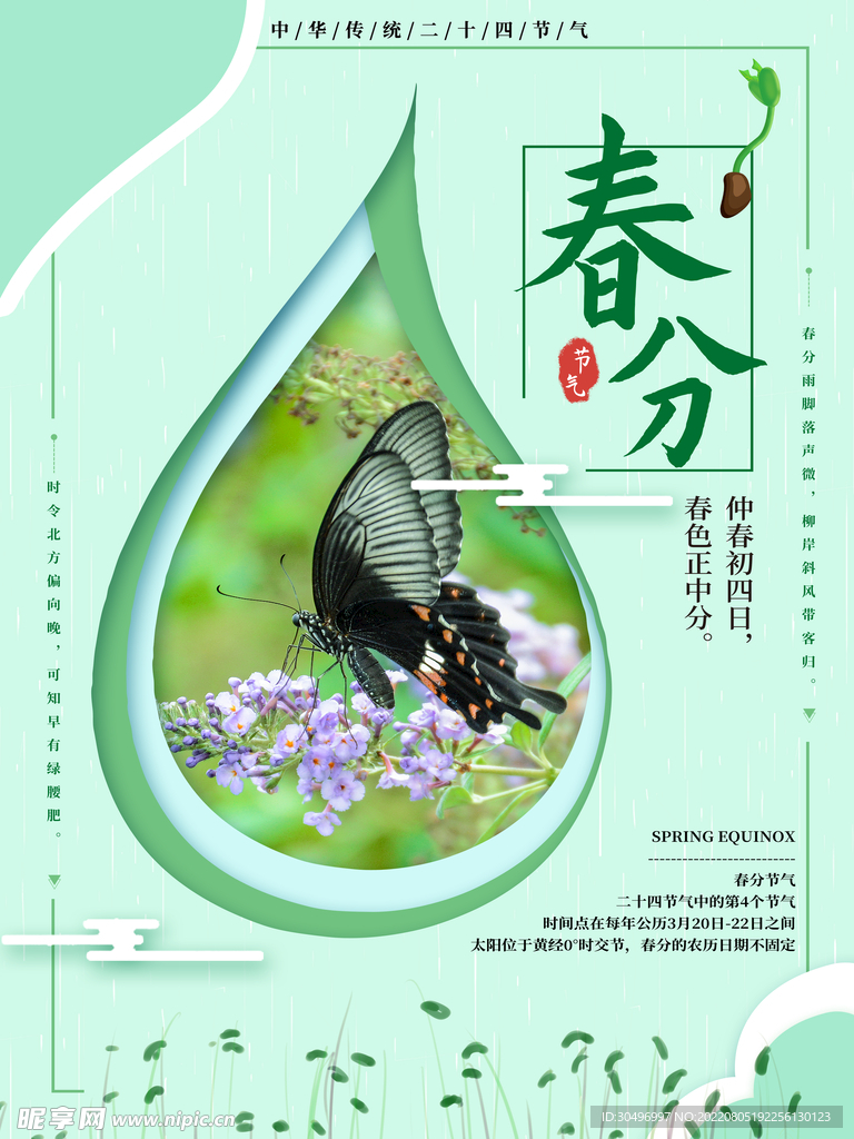 春分插画海报