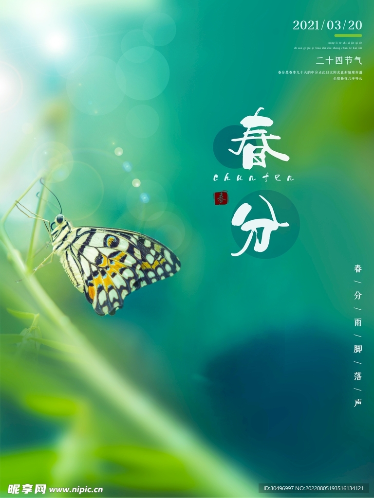 春分插画海报