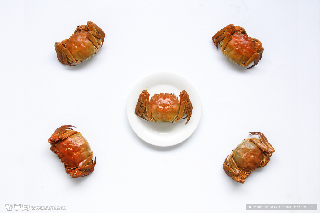 大闸蟹美食食材