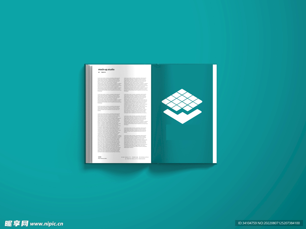 精美简洁书籍画册宣传册贴图样机