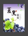 葡萄海报