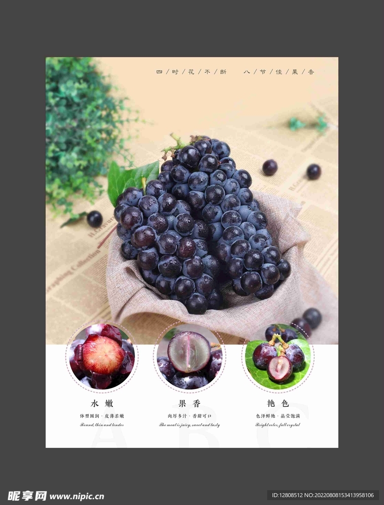 葡萄海报