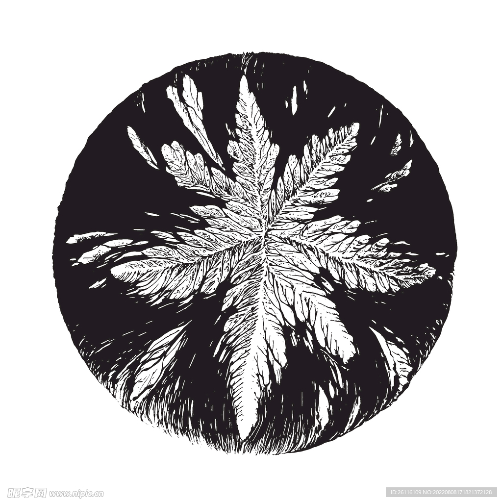 贝塞尔 曲线 摩尔纹 科技风 