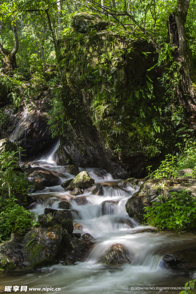 户外森林河流自然