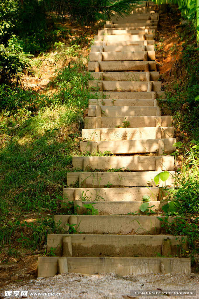 户外公园台阶道路