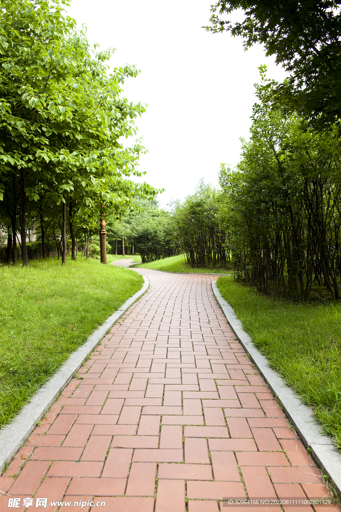 户外公园弯曲道路
