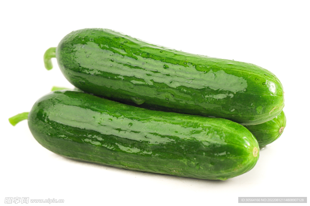 新鲜小黄瓜蔬菜水果