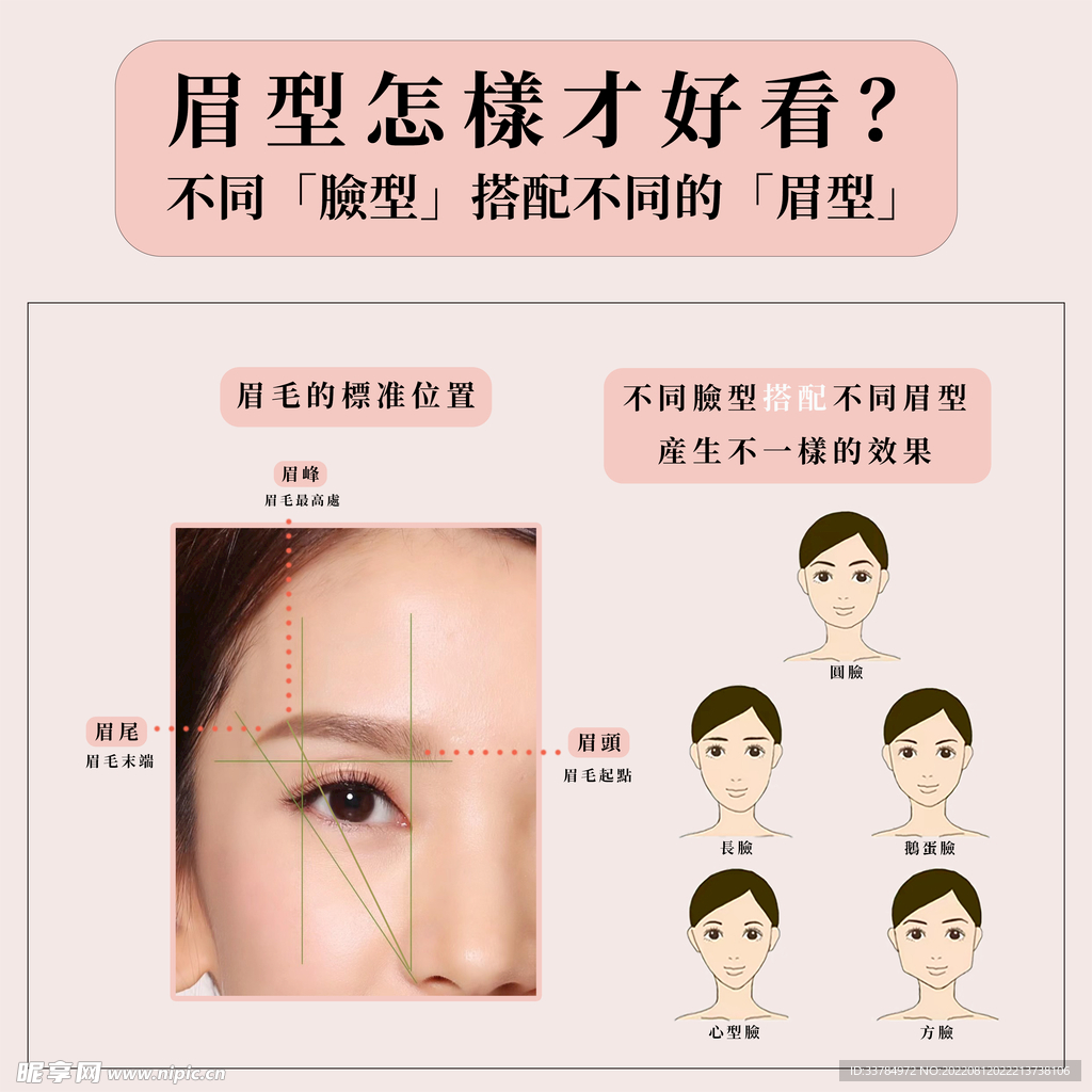 眉毛眉形对比图