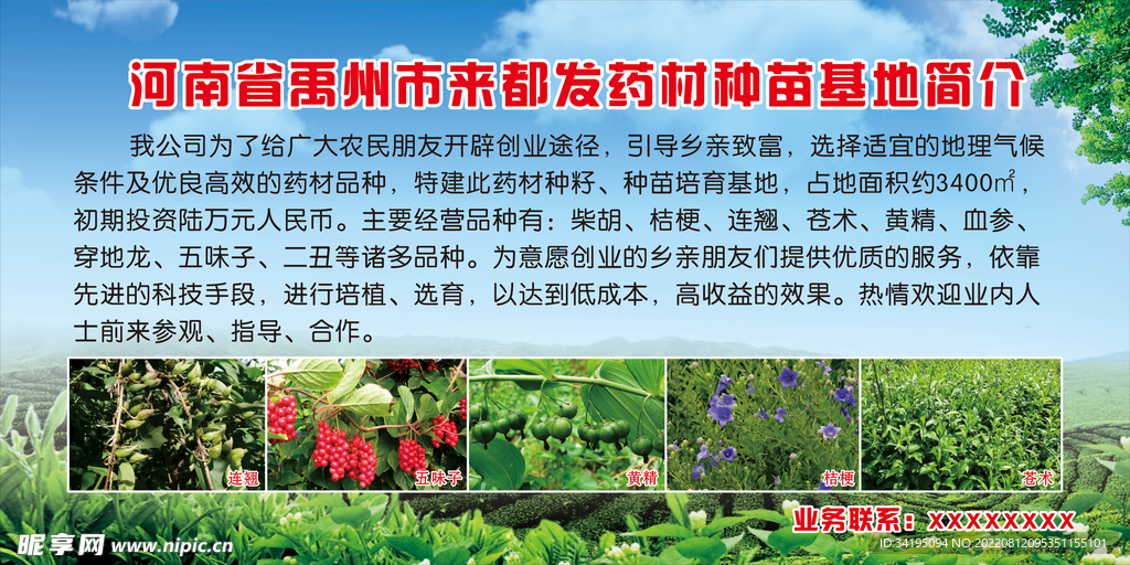 中药材种植基地海报