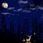 星空与鹿