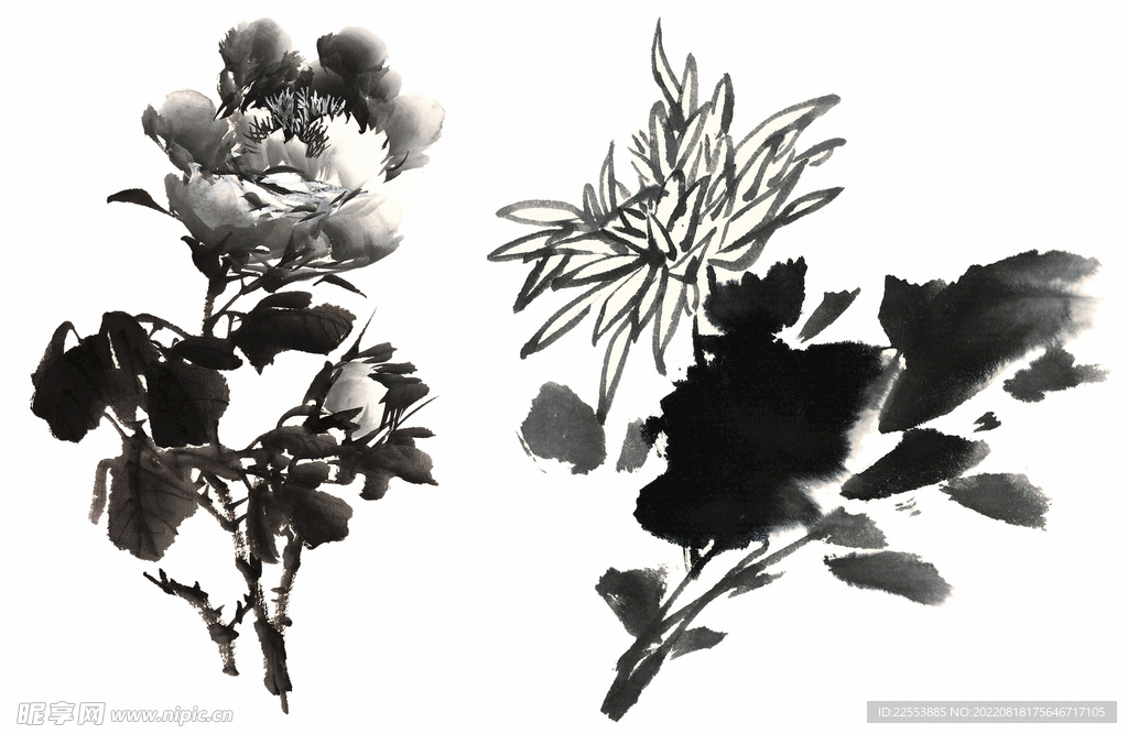 荷花水墨画国画写意花鸟禅意