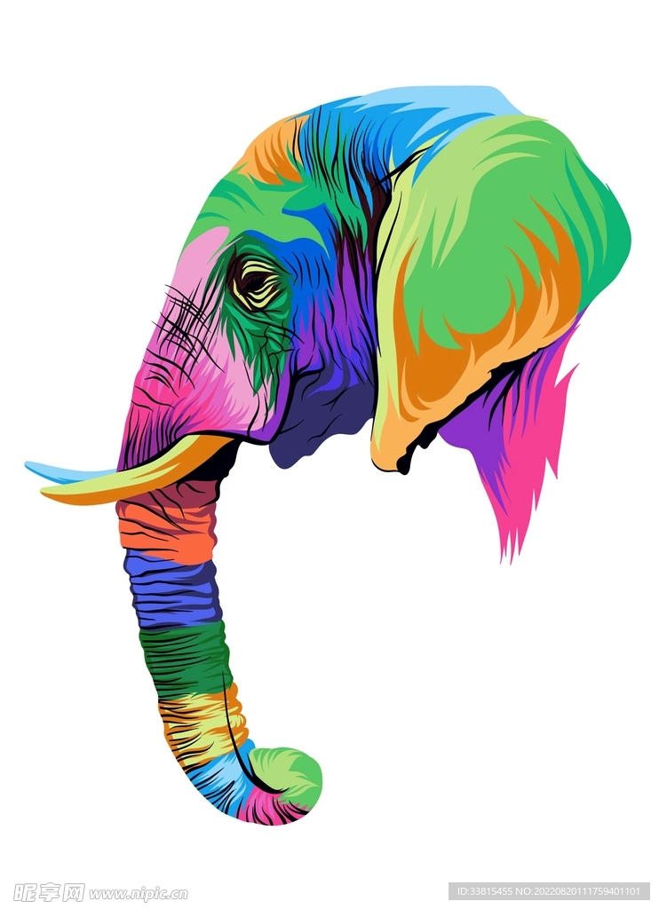 彩色大象