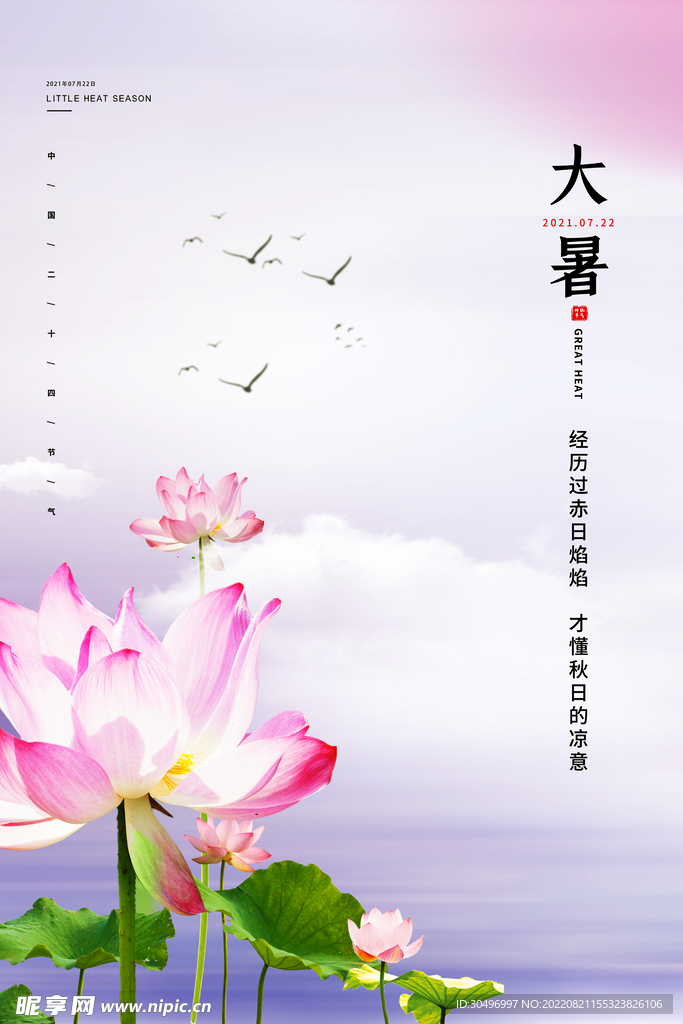 二十四节气大暑海报