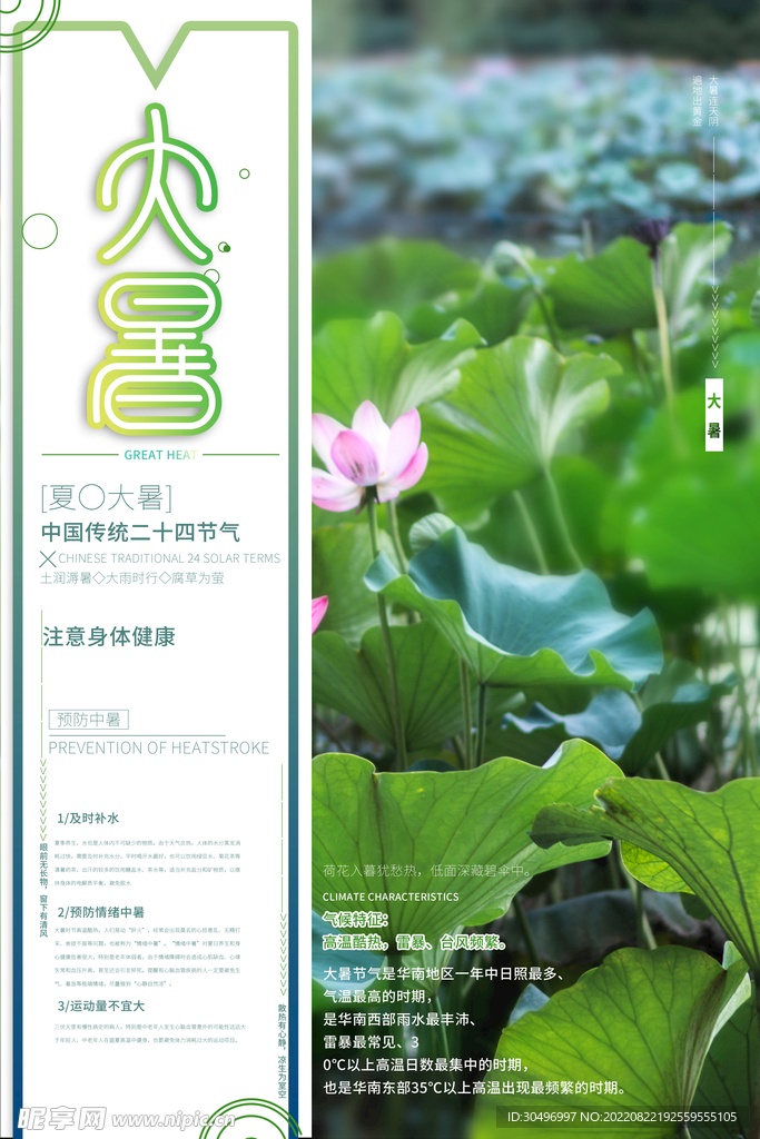 二十四节气大暑海报