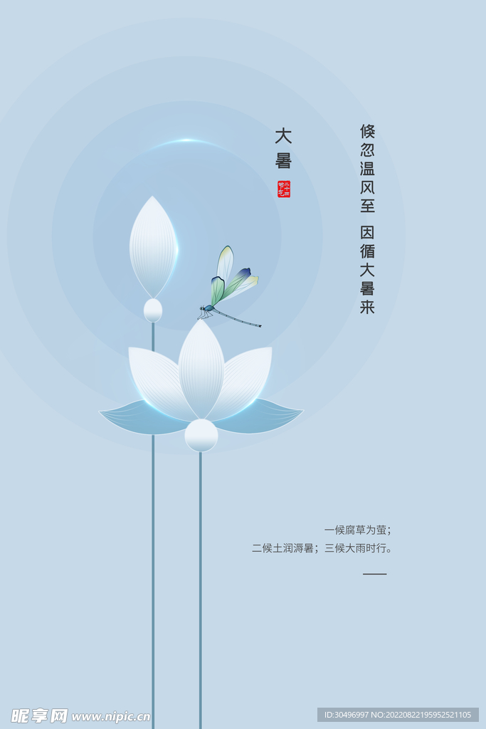 二十四节气大暑海报