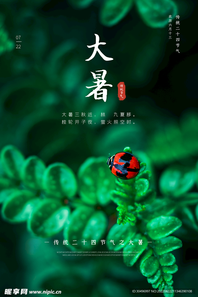 二十四节气大暑海报