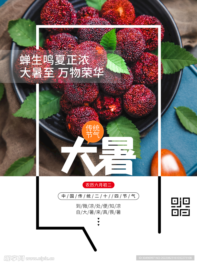 二十四节气大暑海报