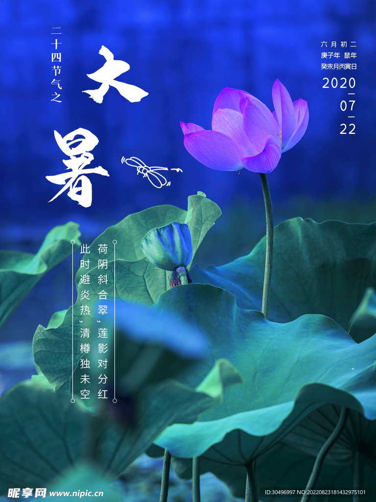 二十四节气大暑海报