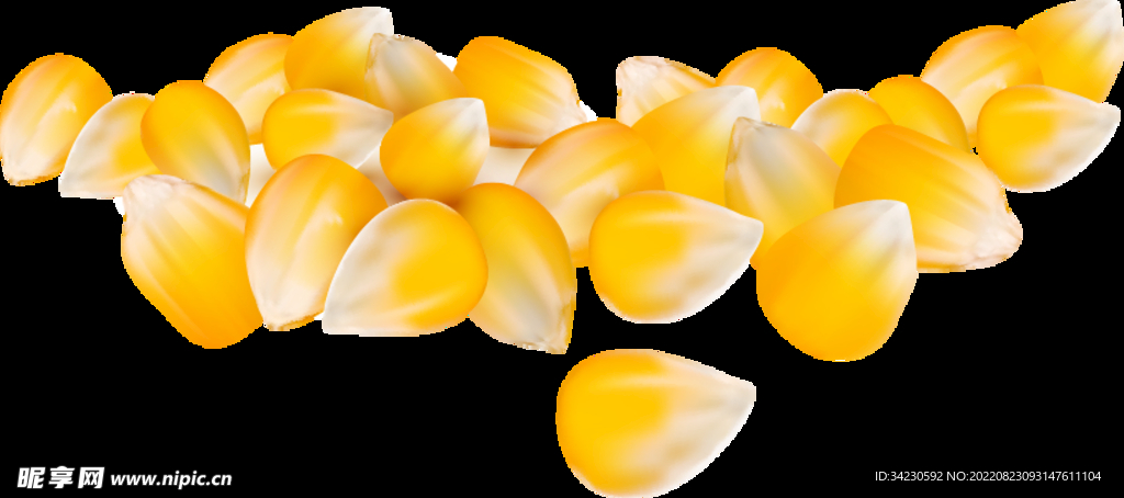 玉米 玉米粒