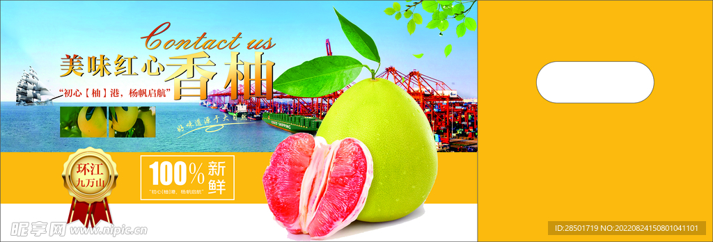 红心香柚平面图