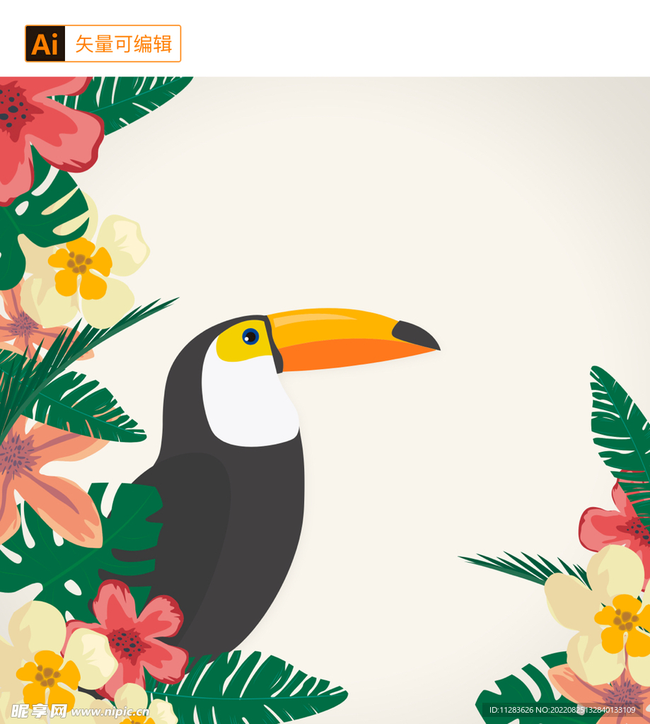 热带大嘴鸟矢量插画