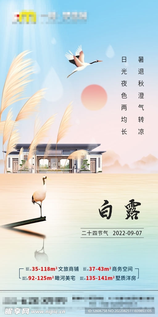 地产中式国潮白露节气海报