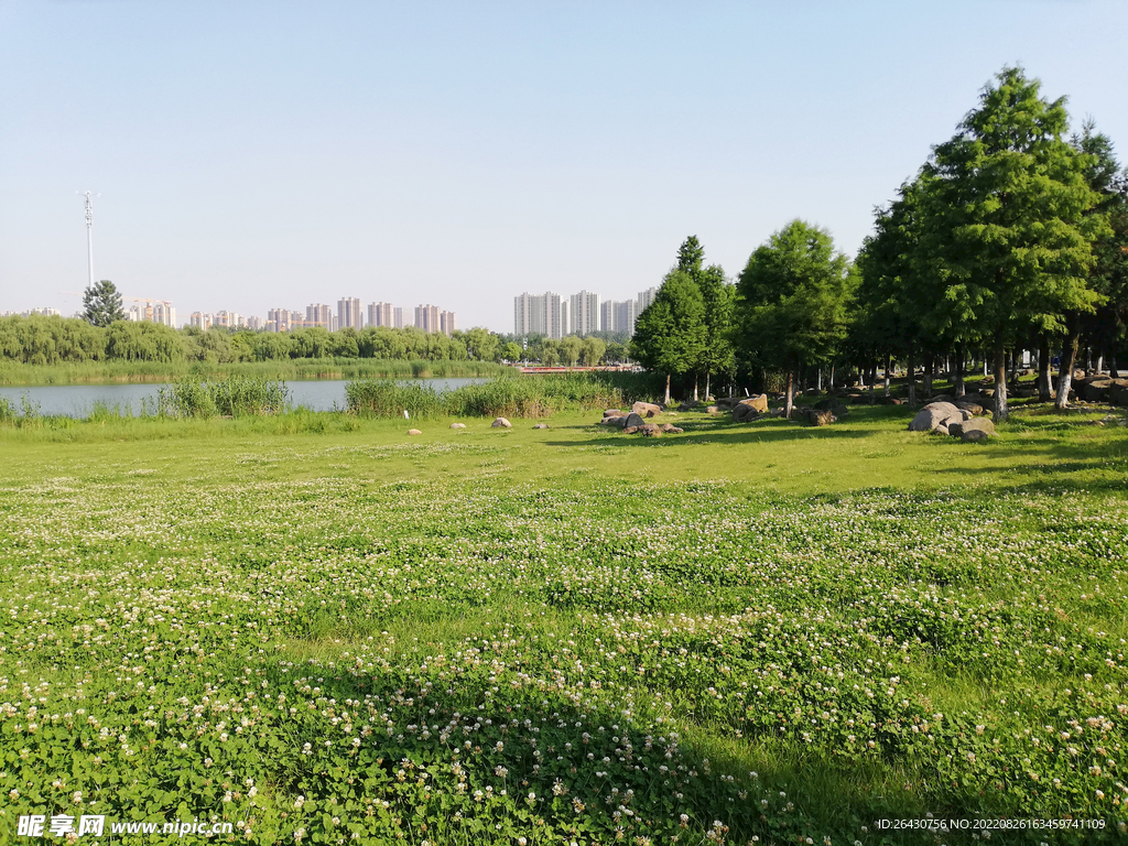 湿地公园蓝天白云