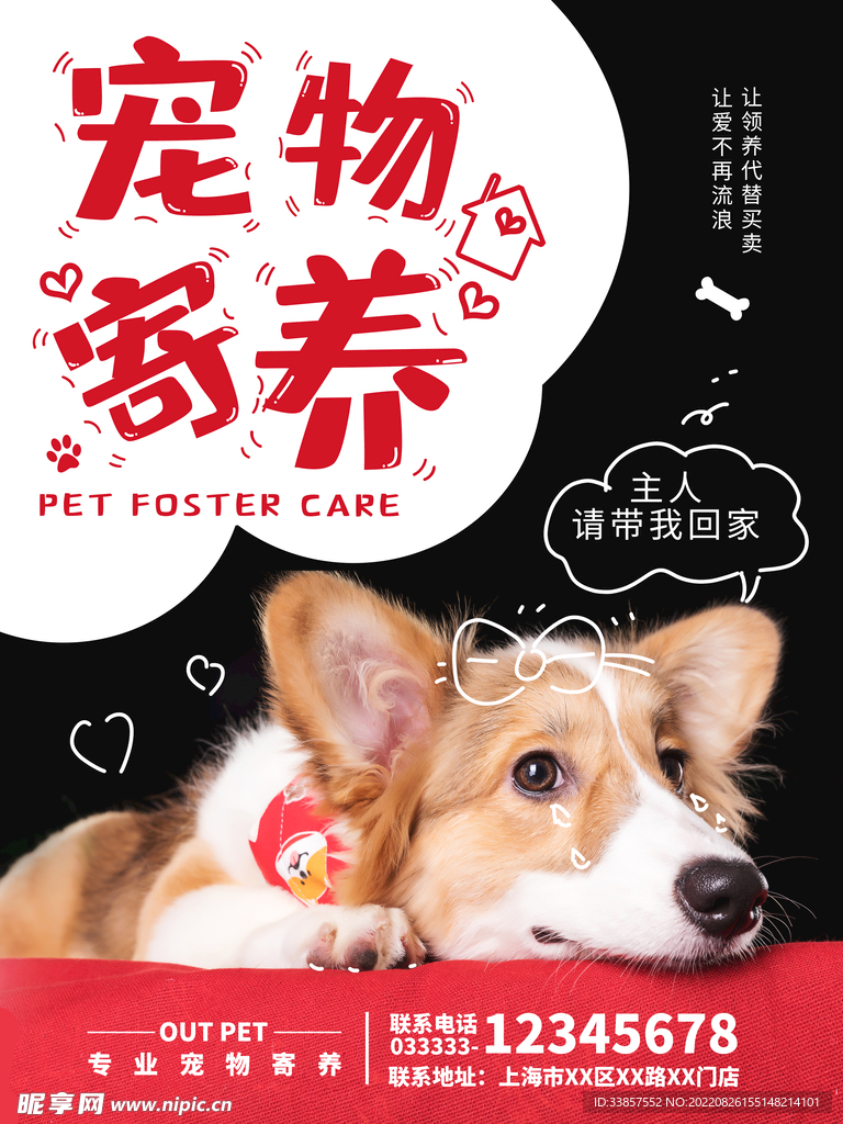 宠物寄养海报         