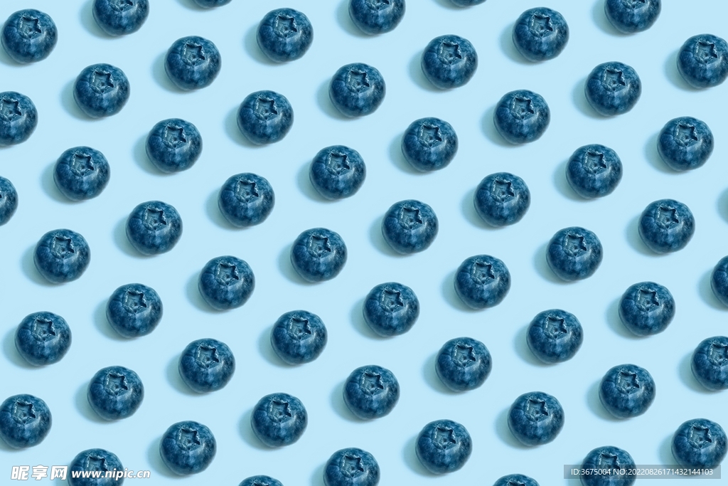 蓝莓重复图案