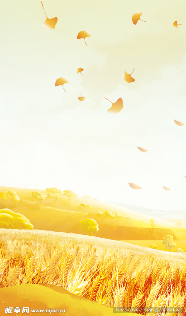 黄色麦子背景