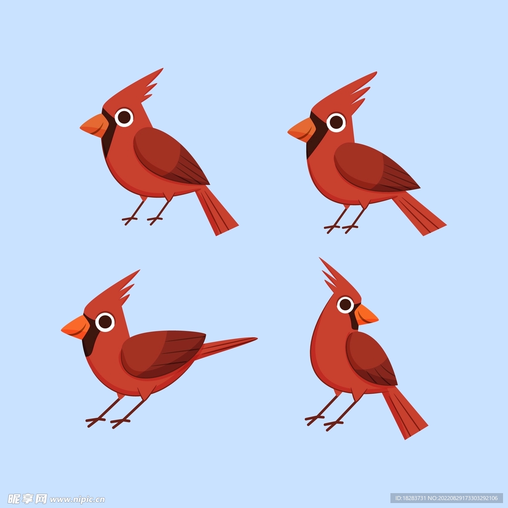 红色啄木鸟插画图