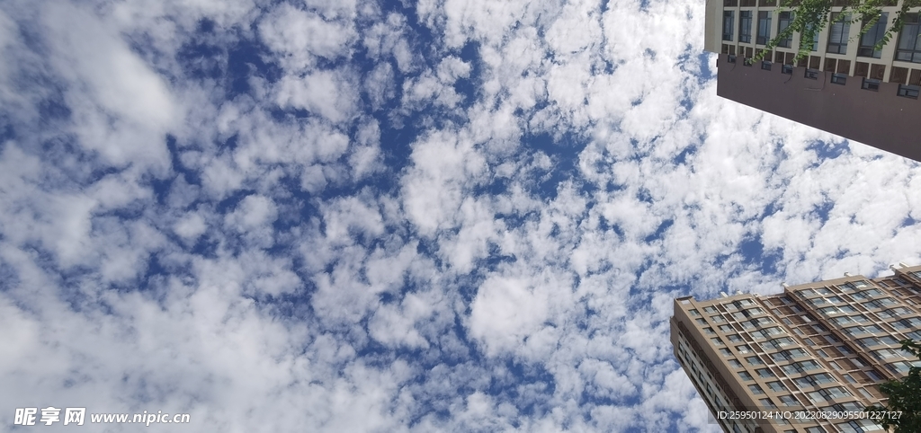 秋高气爽 天高云淡 一叶知秋 