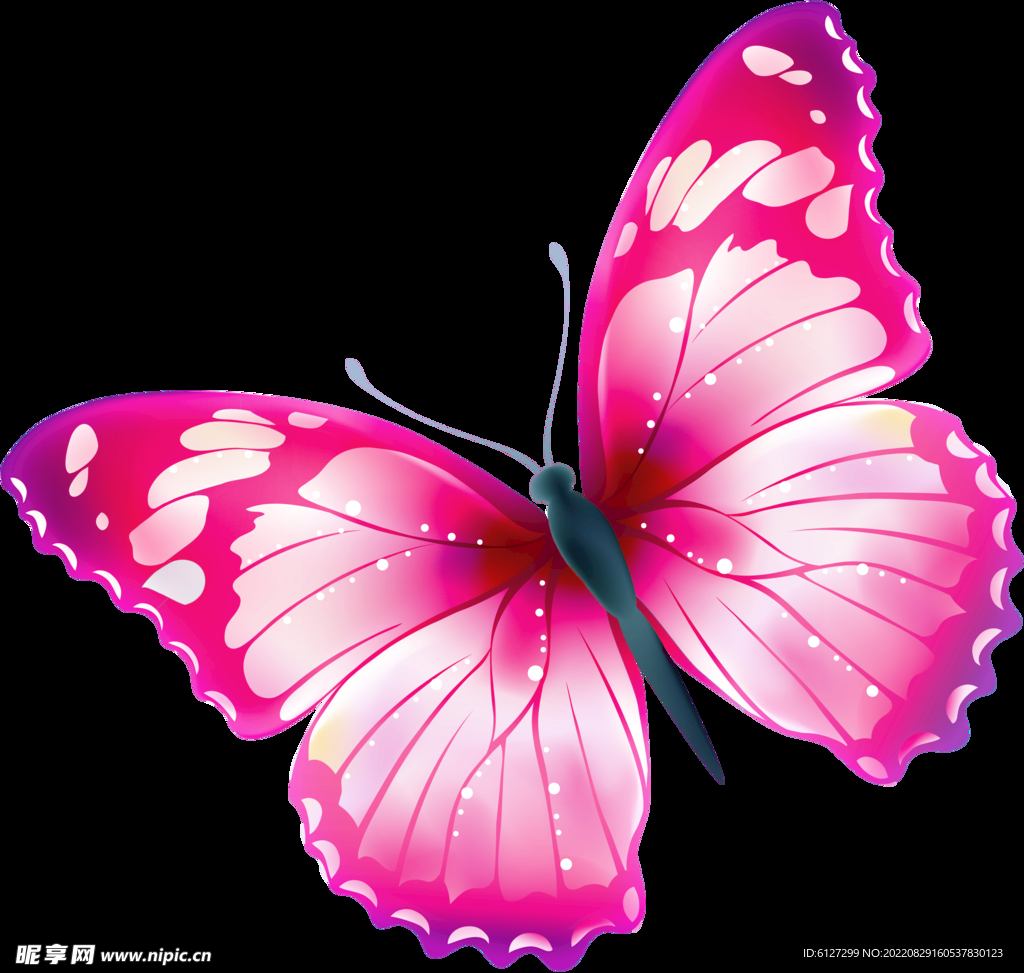 粉红色的蝴蝶