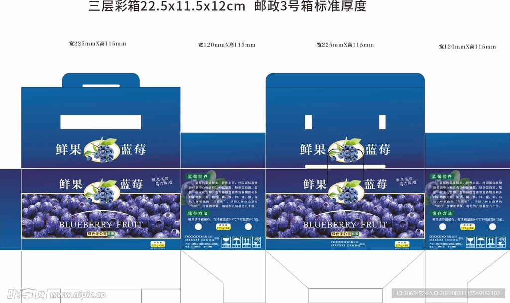蓝莓包装盒 包装设计
