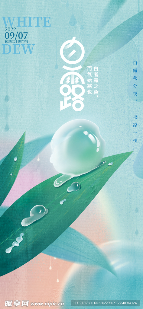 露珠白露节气海报