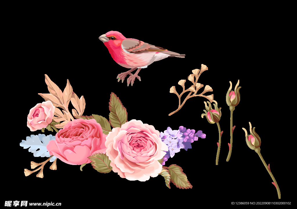 手绘花鸟矢量图