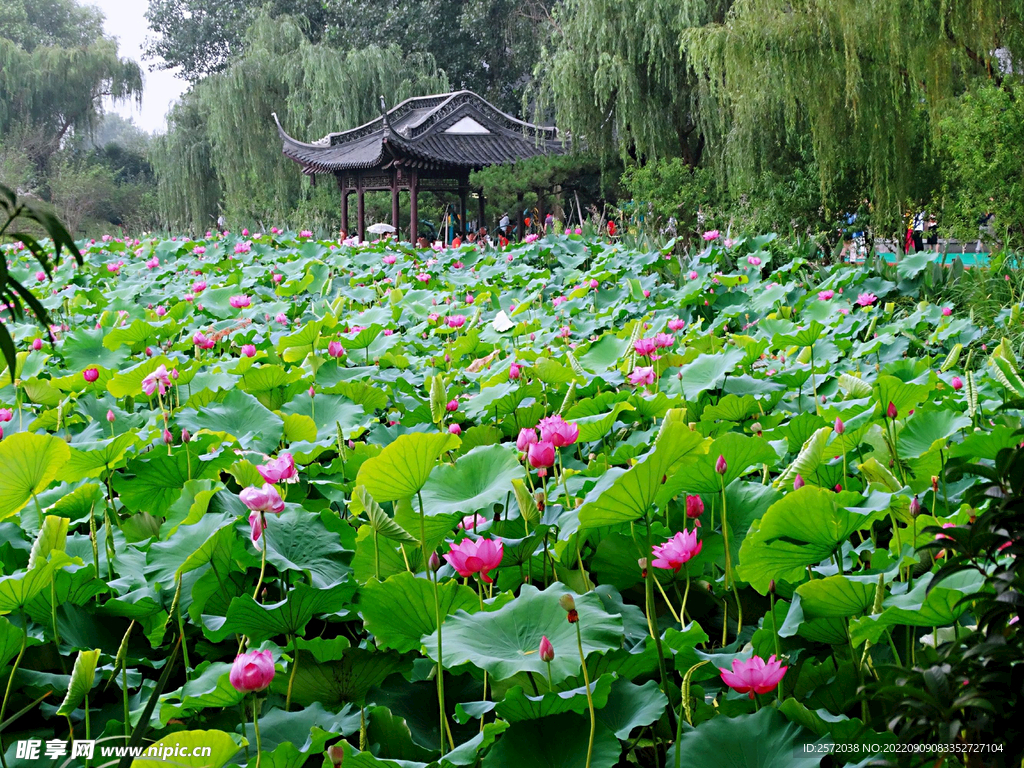 扬州荷花池公园