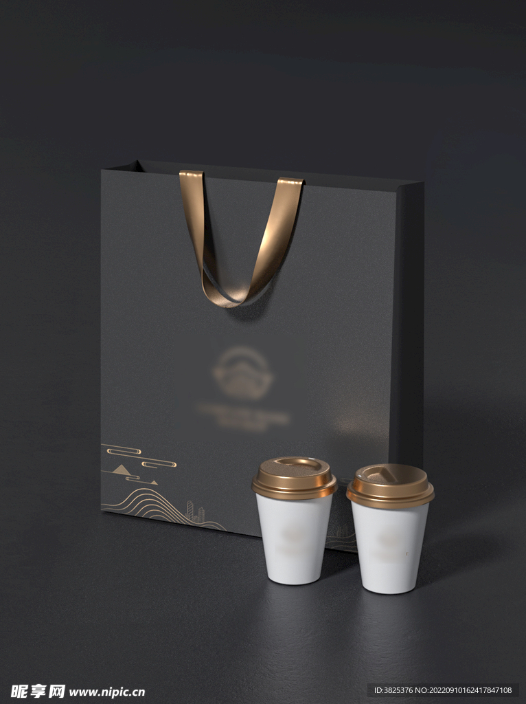 礼品包装袋样机