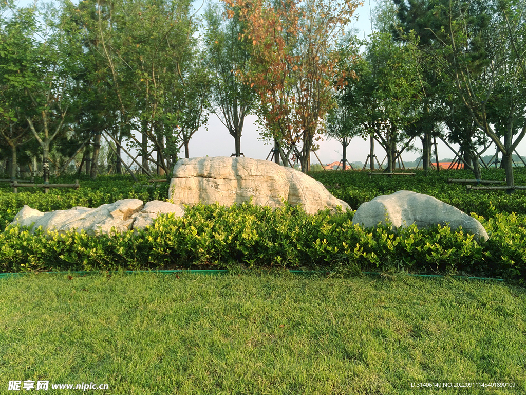 公园景观石图片