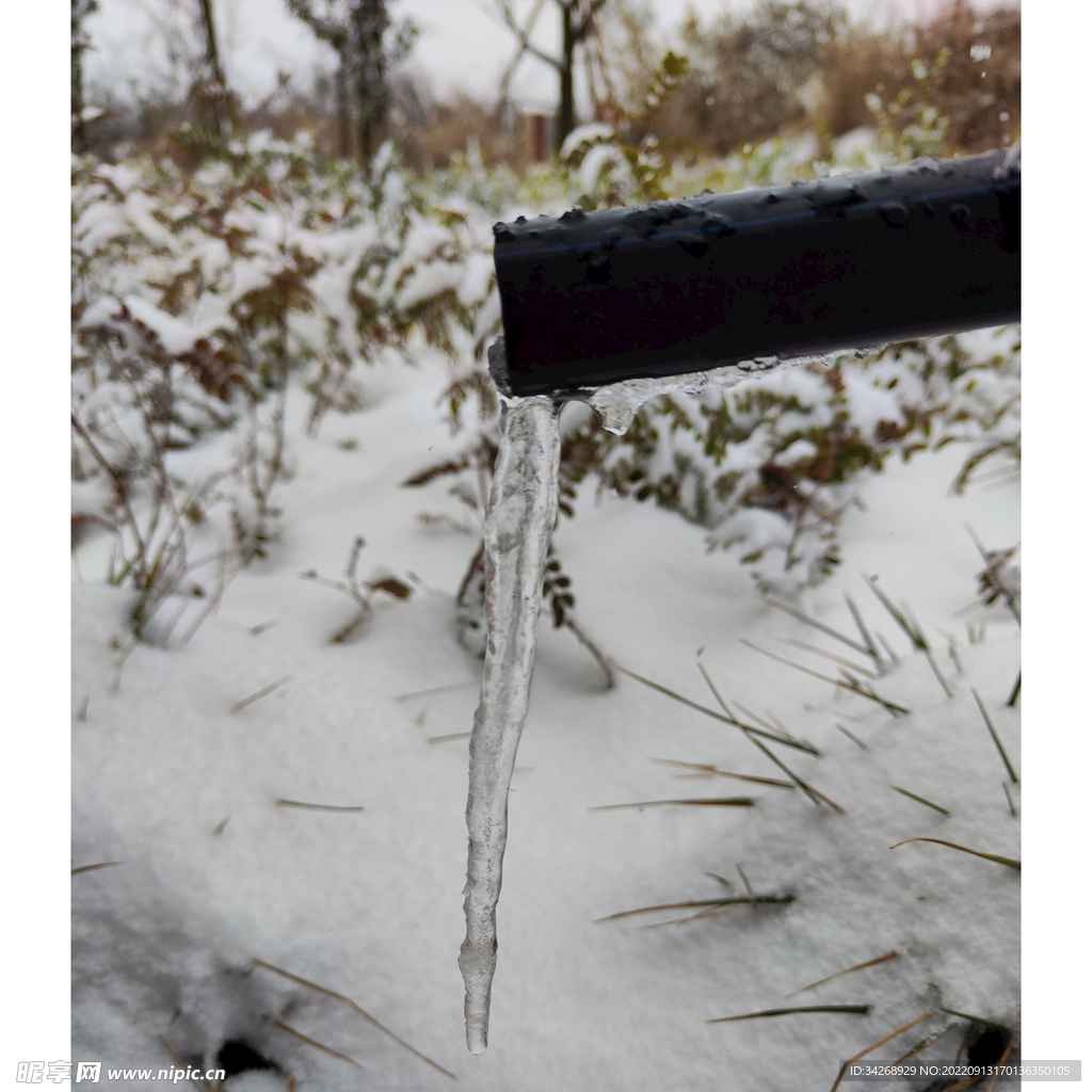 大自然送的“小冰棍”