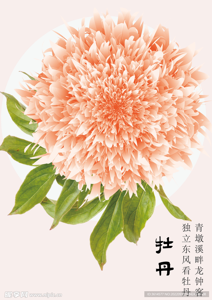 AI矢量牡丹海报