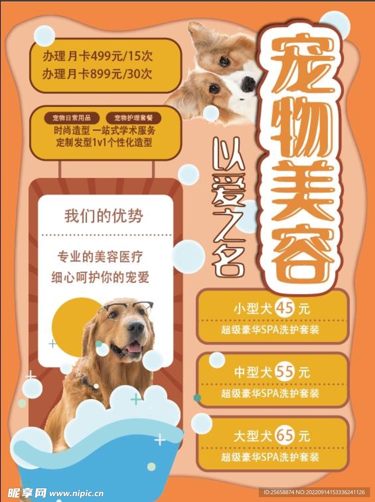宠物美容海报