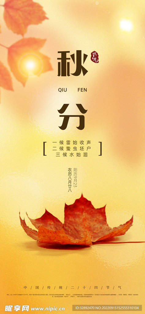 秋分节气枫叶极简海报