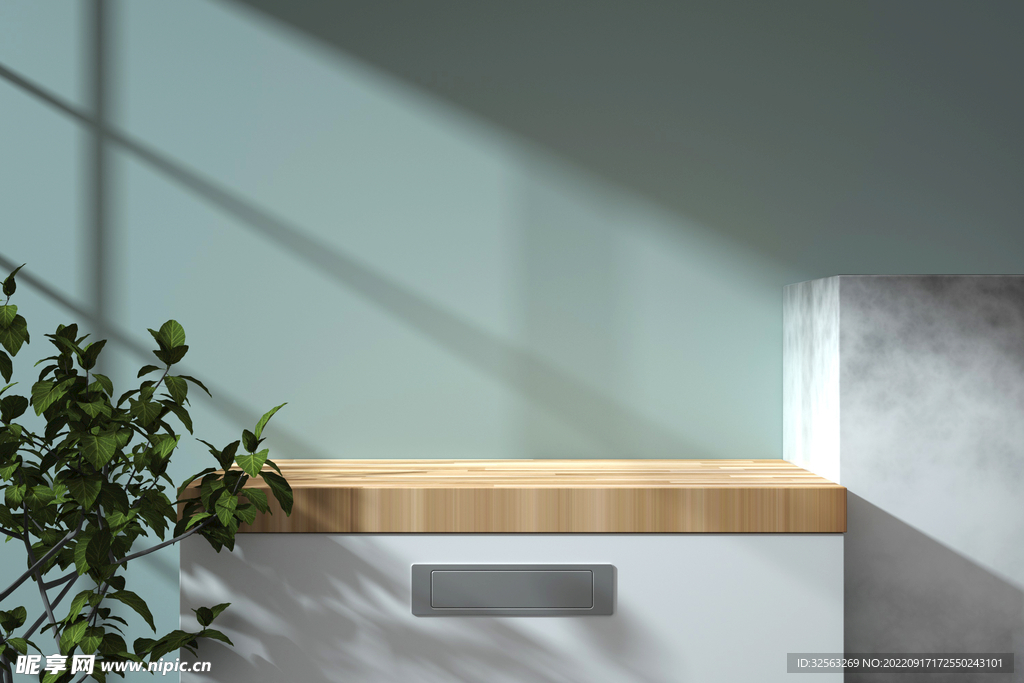 低饱和植物光影展示台