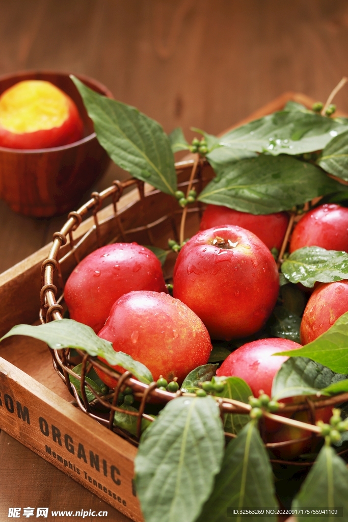 新鲜现摘桃子油桃夏季水果