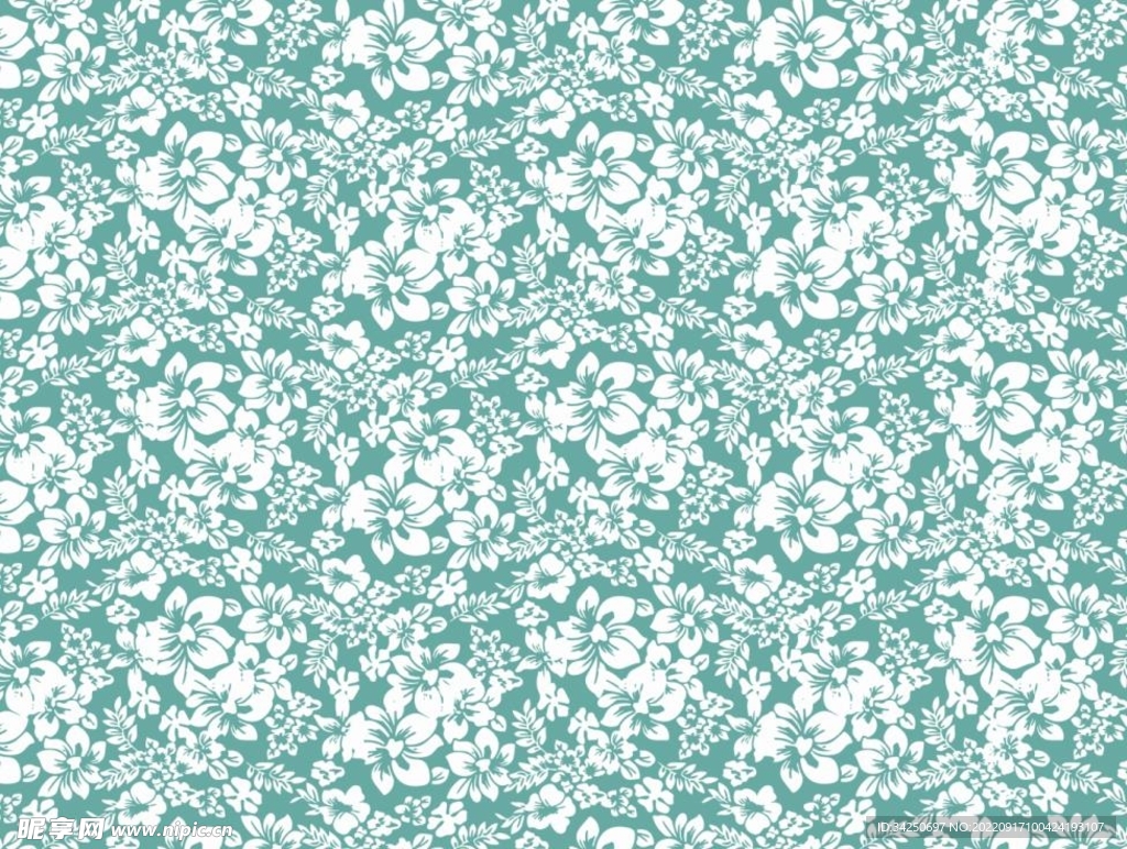 白色花高清大图